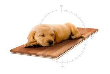 Паркетна дошка